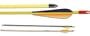 30-inch Safetyglass Target arrows