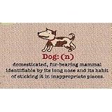 Dog: (n) Definition Durable Funny Indoor Outdoor Doormat