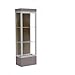 Edge Series Floor Display Case Frame Color: Satin, Base Color: Morro Zephyr, Case Backing: Chocolate
