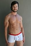 Gregg Homme Basixx Mesh Boxer Brief for Men- White