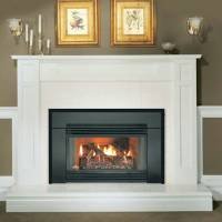Napoleon GI3600N GI3600N Gas Fireplace Insert GI3600 Natural B Vent Gas Insert - GI3600N