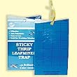 Sticky Thrip and Leafminer Traps 5 pack