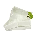 カエル ガーデンオブジェ・置物 （Frog・Pボックス） EDC-0490