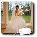 Special Events - Bridal Shower - Mouse Pads Image