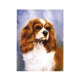 Blenheim Cavalier King Charles Notecards