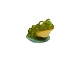 Mini Bobble Head Bullfrog