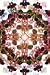 Search : Ultimate Comics Spider-Man #2