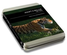 Childrens Toyshop  Electronics : Adopt a Big Cat