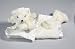 Baby : Michael Angel White Bear My Banky Crazy Mountain Security Blanket