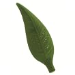 SOOHAP Camellia - Floating Tea Infuser (Dark Green)