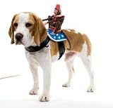 Dog Riders Monkey