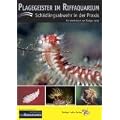 Plagegeister im Riffaquarium: Sch�dlingsabwehr in der Praxis