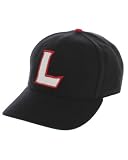 LRG - SLEEPING BEAST CAP