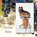 Yorkshire Terrier (Yorkie) - Wine Bottle Stopper