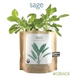 Potting Shed Creations Garden In A Bag - Organic Sage