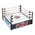WWE Stunt Action Spring Ring