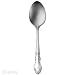 Oneida Dover Serving Spoon