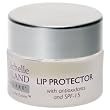 Dr. Michelle Copeland Lip Protector 0.25oz
