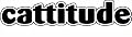 Imagine This Cattitude Car Magnet, 7-Inch by 2-Inch by Imagine This Company