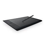 Wacom プロフェッショナルペンタブレット ワイヤレスキット付属 Lサイズ Intuos5 touch PTH-850/K0