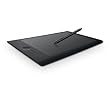 Wacom プロフェッショナルペンタブレット ワイヤレスキット付属 Lサイズ Intuos5 touch PTH-850/K0