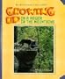 Growing Up in a Holler in the Mountains: An Appalachian Childhood