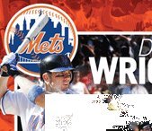 New York Mets David Wright 20x16 3-D Poster