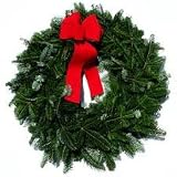 24" Canadian Pine Artificial Christmas Wreath - Unlit 24" Canadian Pine Artificial Christmas Wreath - Unlit