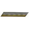 Anchor 1520APS 2-1/2-Inch 15-Gauge Stainless Steel Angle Finish Nails