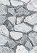 Gray Fieldstone Veneer