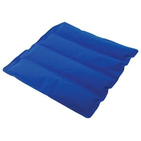Theramed Back Pad Dual-Temp Cold Pack by Theramed