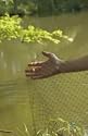 DEWITT 14' x 14' Deluxe Pond Netting