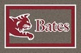 Milliken grey Bates College 3' 10 x 5' 4 Area Rug