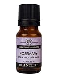 Rosemary 100% Pure Essential Oil - 10 ml