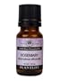 Rosemary 100% Pure Essential Oil - 10 ml