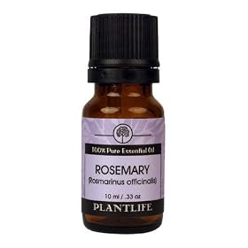 Rosemary 100% Pure Essential Oil - 10 ml