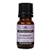 Rosemary 100% Pure Essential Oil - 10 ml