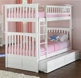 IMAGE OF Twin/Twin Columbia Bunk in White with Raised Panel Trundle Bed by Atlantic Furniture