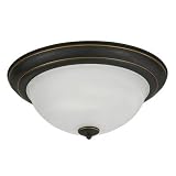 Buy American Fluorescent C6218RBSCT Canterbury Flush Mount 2-Lamp 18-Watt Light... by American Fluorescent