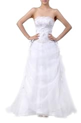 Strapless Organza  Dress