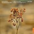 Schubert: Klavierst&uuml;cke D 946, Schumann CD