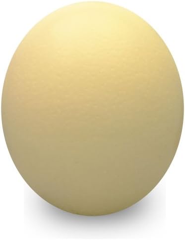 Premium Ostrich Eggshell - Grade A - Large Size