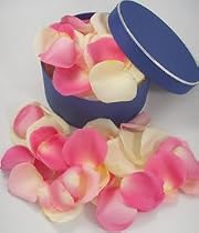 Fresh Pink & Cream Rose Petals