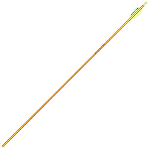 6-Pk. Easton Genesis II Arrows