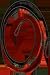 Parker Compound Bows Red Hot Cable/Terminator 27-1/4
