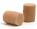 Planet Waves PWEP1 29Db Ear Plugs
