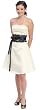 #604 - BEST SELLER - Perfect formal evening dress for any formal occasion. Very Cute Knee Length Dress