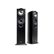 KEF iQ70 Standlautsprecher Esche schwarz Paar