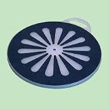 SafetySure Pivot Disc