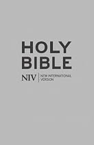 NIV Bible (Bible Niv Internationl Version)